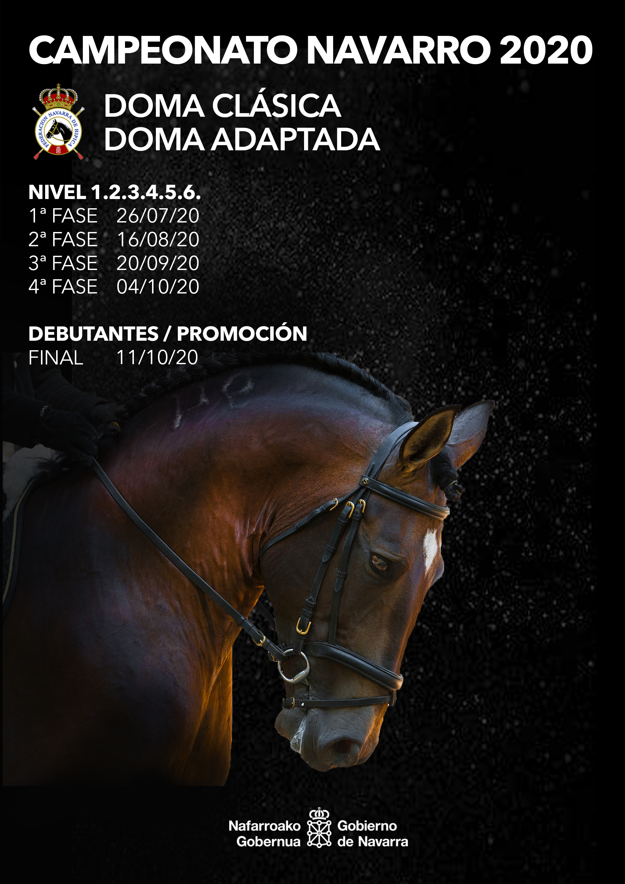 Campeonato Navarro Doma Cl&aacute;sica y Doma Adaptada 2020